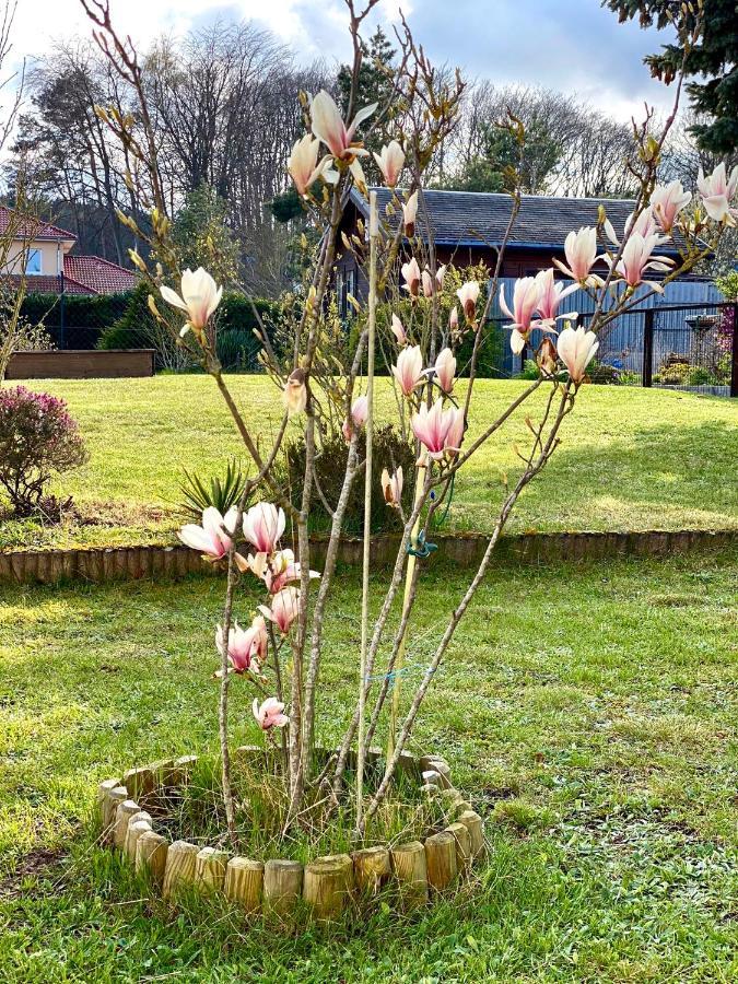 Fewo Sunshine Heringsdorf  Ngoại thất bức ảnh